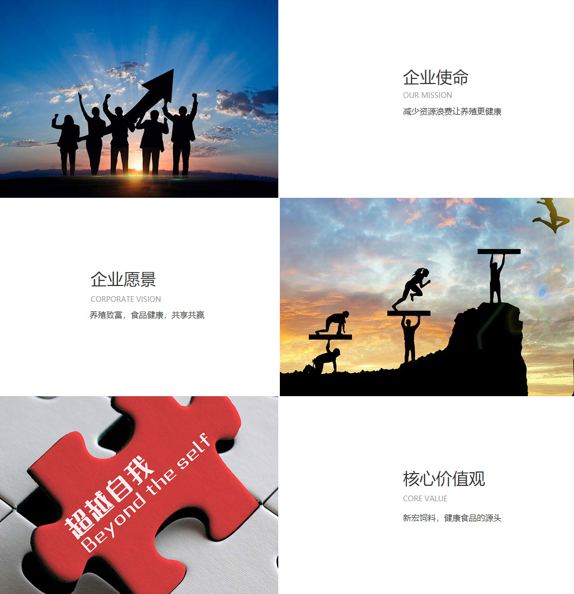 雷竞技raybet最新官网(图1)